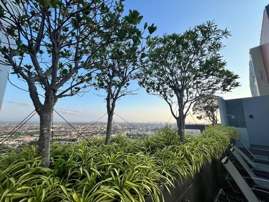 Infinity Pool At Posh Apartemen